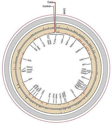 Impact of chronic benzene poisoning on aberrant mitochondrial DNA methylation: A prospective observational study